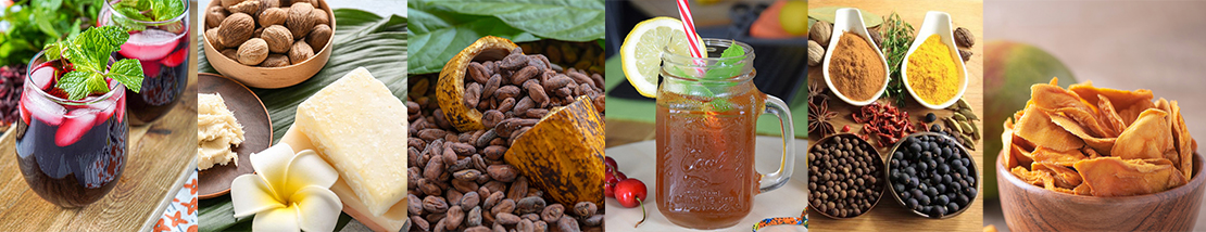 bannière des produits alytashop